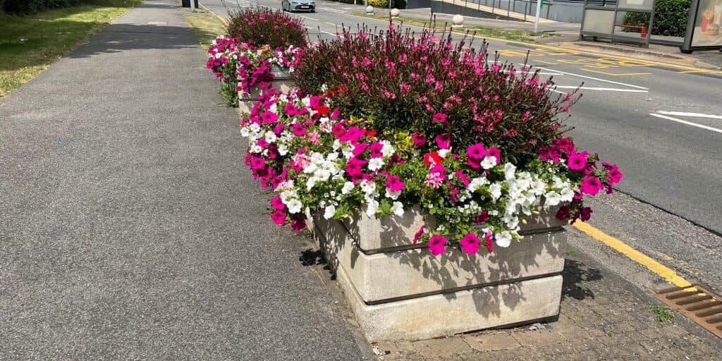 Planter-Summer-2023